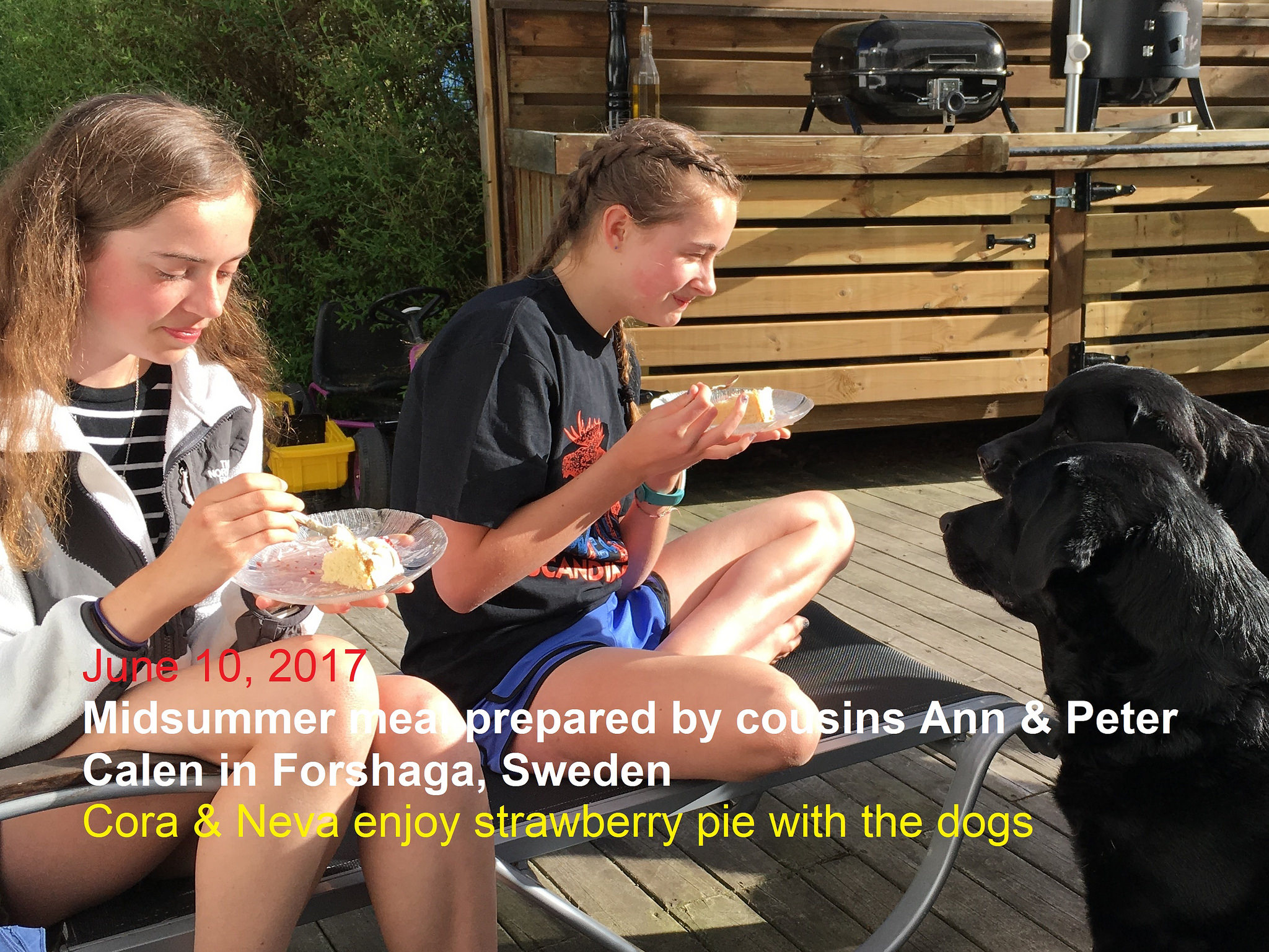 midsummer meal at cousin's